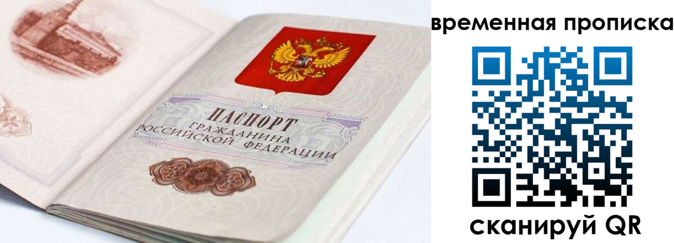 прописка 2025 в Волхове